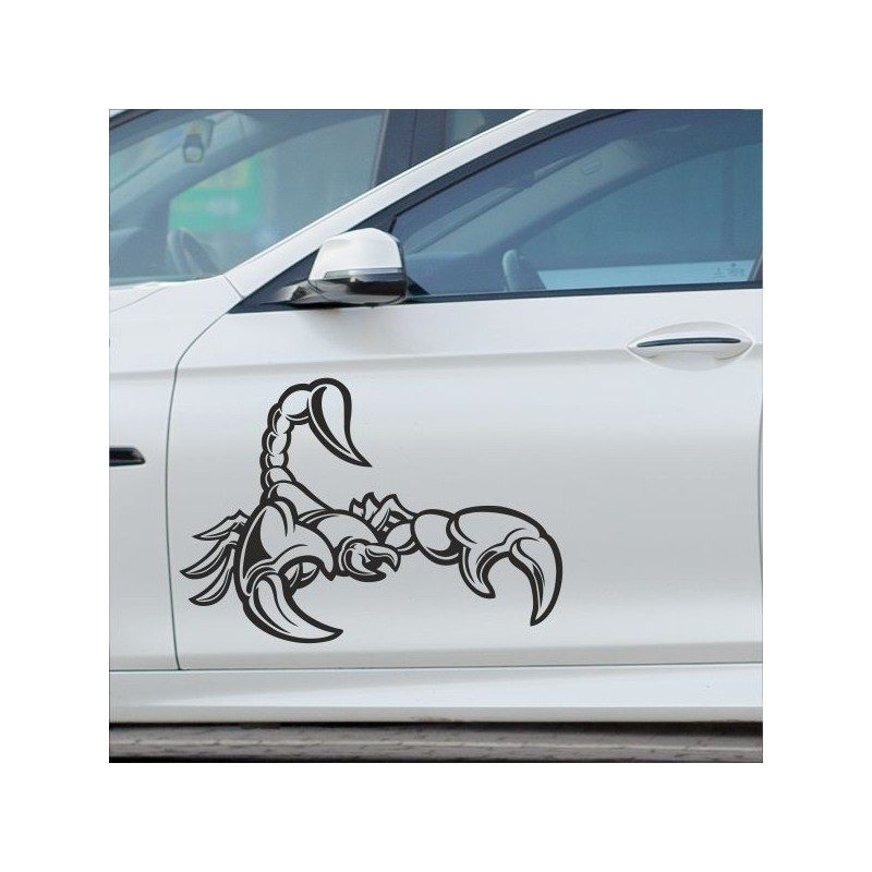 Aufkleber SET Auto Car Tattoo Style Seiten Tribal Dekor Pferd Gecko Power Blumen Ranke Fee Hexe Blumen Blüten Gecko Farbe