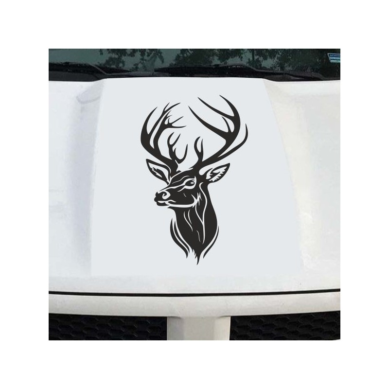 Aufkleber Auto Offroad 4x4 Safari Gelände Allrad Landschaft Hirsch Bär Off Road Safari Berge extreme Hirsch Jäger Angler Kompass