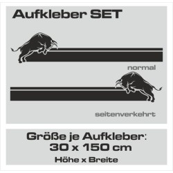 Aufkleber SET Auto Car Dekor Steifen Race Racing 4x4 Zierstreifen Rennstreifen Turbo Limited Edition Racing Flags Draht