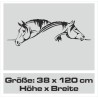 Wandaufkleber Pferde Dekor Pferd Stute Pony Hengst Reiten Hof Sport Kids Hufeisen Glück Reiterhof Sprüche Wunschname Kids Kinder