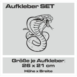 Aufkleber SET Auto Heckscheibe Car Tattoo Style La Familia Pferd Gecko Sprüche Power Blumen Ranke Fee Hexe Faultier Kolben