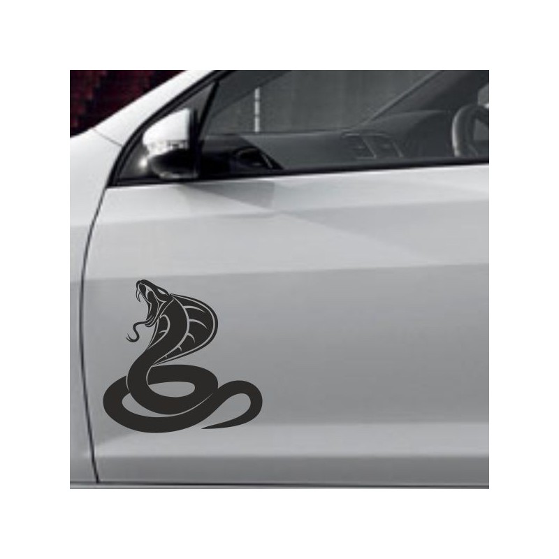 Aufkleber SET Auto Heckscheibe Car Tattoo Style La Familia Pferd Gecko Sprüche Power Blumen Ranke Fee Hexe Faultier Kolben