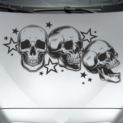 Aufkleber Auto Totenkopf Schädel Skull Bones Böse Cappy Gangster Zylinder Rosen Blumen Blüten Gentleman DJ Rock Punisher