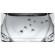Aufkleber Motorhaube Spinne 10 Stück Spider Tattoo 108