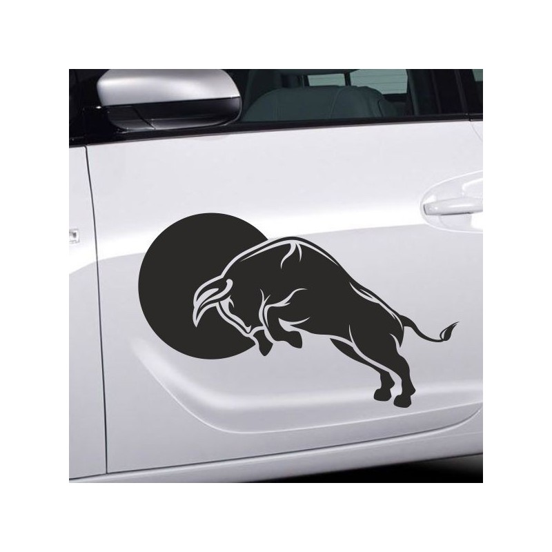 Aufkleber SET Auto Car Tattoo Style Seiten Tribal Dekor Pferd Gecko Power Blumen Ranke Fee Hexe Blumen Blüten Gecko Farbe