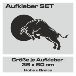 Aufkleber SET Auto Car Tattoo Style Seiten Tribal Dekor Pferd Gecko Power Blumen Ranke Fee Hexe Blumen Blüten Gecko Farbe