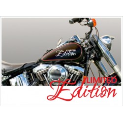 Motorrad Aufkleber Sticker Tattoo Bike Chopper Tribal 53 Limited Edition