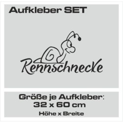 Aufkleber SET Auto Car Tattoo Style Seiten Tribal Dekor Pferd Gecko Power Blumen Ranke Fee Hexe Blumen Blüten Gecko Farbe