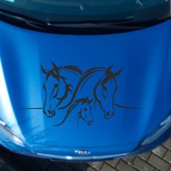 Aufleber Auto Pferd Fohlen Stute Hengst Hufeisen Glück Spruch Dekor Stall Pferdehof Reiten Sport Familie Ponny Kinder Tattoo