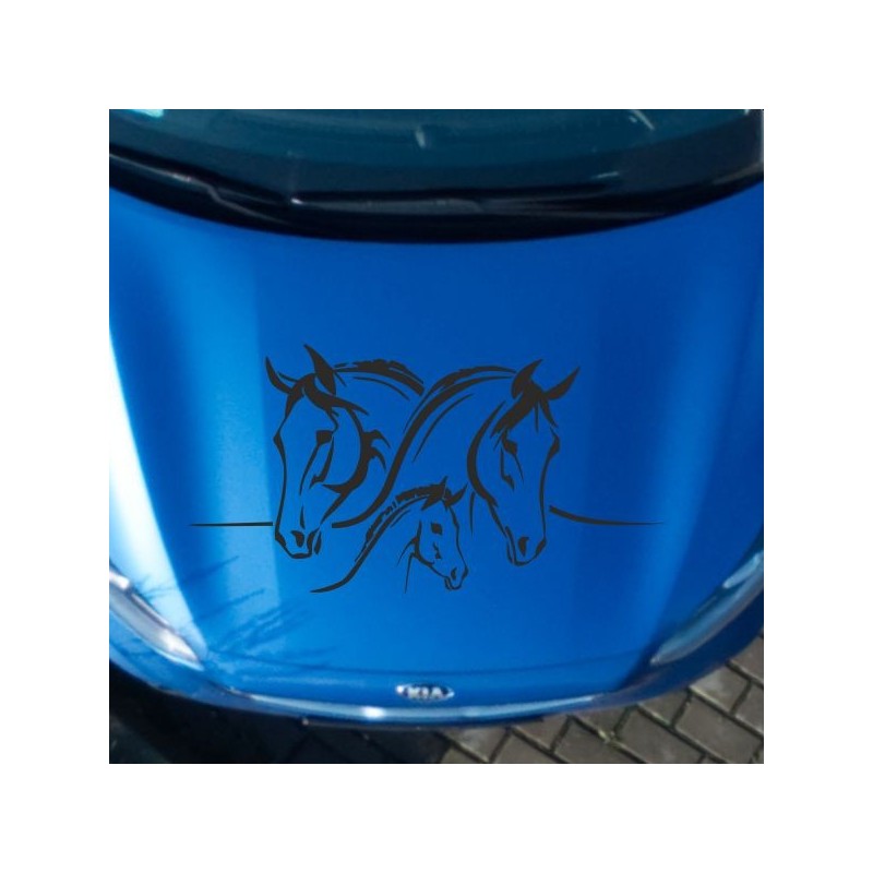 Aufleber Auto Pferd Fohlen Stute Hengst Hufeisen Glück Spruch Dekor Stall Pferdehof Reiten Sport Familie Ponny Kinder Tattoo