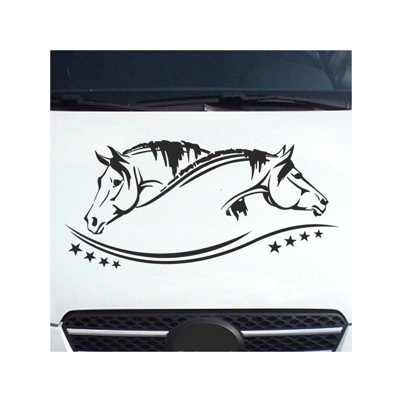 Aufleber Auto Pferd Fohlen Stute Hengst Hufeisen Glück Spruch Dekor Stall Pferdehof Reiten Sport Familie Ponny Kinder Tattoo