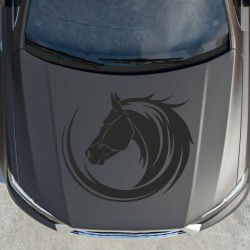 Aufleber Auto Pferd Fohlen Stute Hengst Hufeisen Glück Spruch Dekor Stall Pferdehof Reiten Sport Familie Ponny Kinder Tattoo