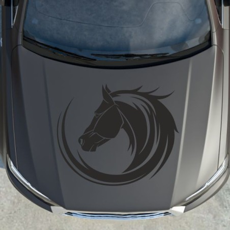 Aufleber Auto Pferd Fohlen Stute Hengst Hufeisen Glück Spruch Dekor Stall Pferdehof Reiten Sport Familie Ponny Kinder Tattoo