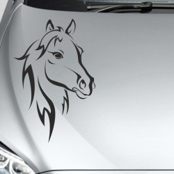 Aufleber Auto Pferd Fohlen Stute Hengst Hufeisen Glück Spruch Dekor Stall Pferdehof Reiten Sport Familie Ponny Kinder Tattoo