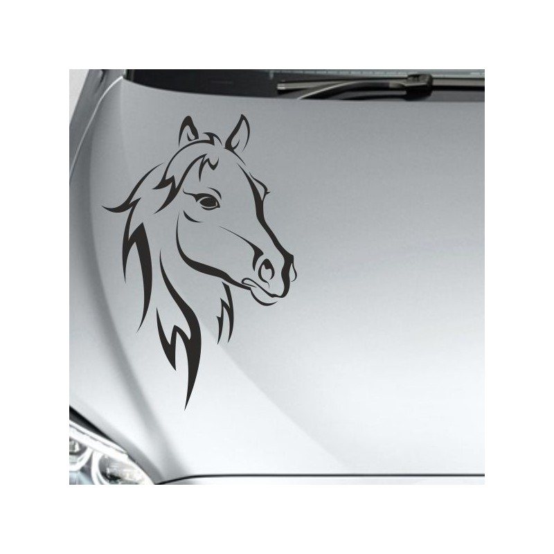 Aufleber Auto Pferd Fohlen Stute Hengst Hufeisen Glück Spruch Dekor Stall Pferdehof Reiten Sport Familie Ponny Kinder Tattoo