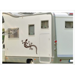 Wohnmobil Wohnwagen Caravan Camper Gecko Echse 58  Aufkleber-SET