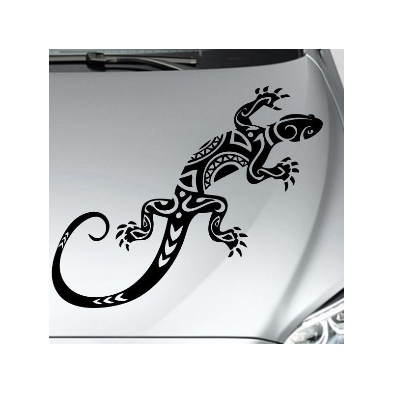 Aufkleber Auto Motorhaube Car Style Tuning Drache Tribal Dekor Rosen Blumen Schmetteringe Tattoo´s Fun Comic Flower Tiere