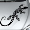 Aufkleber Auto Motorhaube Car Style Tuning Drache Tribal Dekor Rosen Blumen Schmetteringe Tattoo´s Fun Comic Flower Tiere