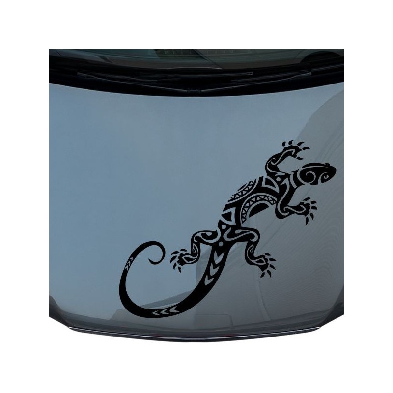 Aufkleber Auto Motorhaube Car Style Tuning Drache Tribal Dekor Rosen Blumen Schmetteringe Tattoo´s Fun Comic Flower Tiere