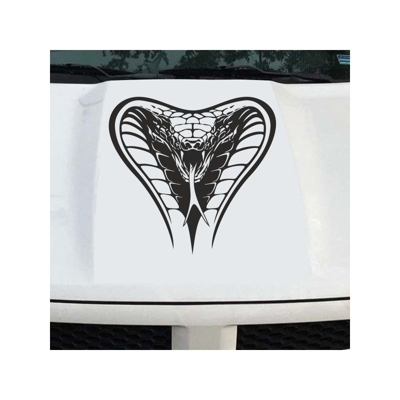 Aufkleber Auto Motorhaube Car Style Tuning Drache Tribal Dekor Rosen Blumen Schmetteringe Tattoo´s Fun Comic Flower Tiere