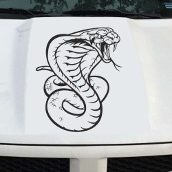 Aufkleber Auto Motorhaube Car Style Tuning Drache Tribal Dekor Rosen Blumen Schmetteringe Tattoo´s Fun Comic Flower Tiere