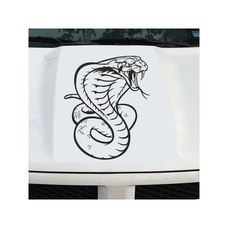 Aufkleber Auto Motorhaube Car Style Tuning Drache Tribal Dekor Rosen Blumen Schmetteringe Tattoo´s Fun Comic Flower Tiere