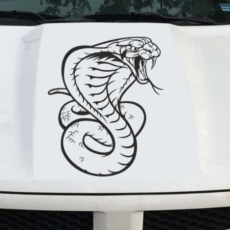 Aufkleber Auto Motorhaube Car Style Tuning Drache Tribal Dekor Rosen Blumen Schmetteringe Tattoo´s Fun Comic Flower Tiere