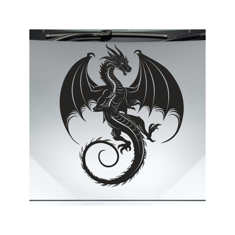 Aufkleber Auto Motorhaube Car Style Tuning Drache Tribal Dekor Rosen Blumen Schmetteringe Tattoo´s Fun Comic Flower Tiere