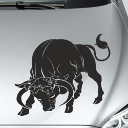 Aufkleber Auto Motorhaube Car Style Tuning Drache Tribal Dekor Rosen Blumen Schmetteringe Tattoo´s Fun Comic Flower Tiere