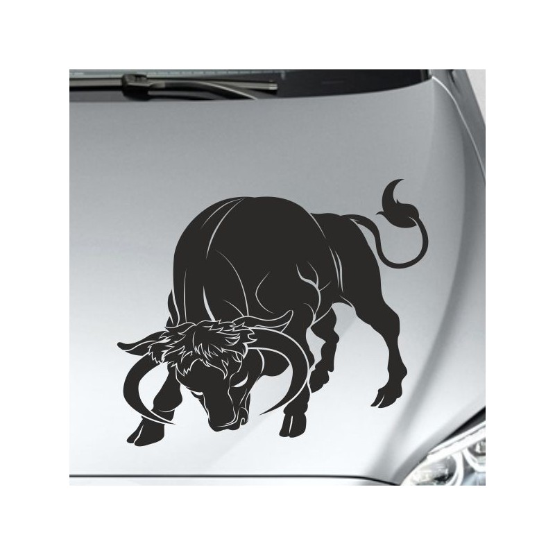 Aufkleber Auto Motorhaube Car Style Tuning Drache Tribal Dekor Rosen Blumen Schmetteringe Tattoo´s Fun Comic Flower Tiere