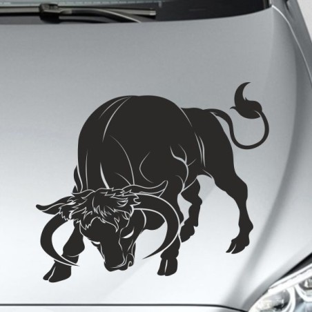 Aufkleber Auto Motorhaube Car Style Tuning Drache Tribal Dekor Rosen Blumen Schmetteringe Tattoo´s Fun Comic Flower Tiere