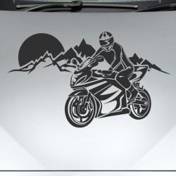 Aufkleber Auto Motorhaube Car Style Tuning Drache Tribal Dekor Rosen Blumen Schmetteringe Tattoo´s Fun Comic Flower Tiere