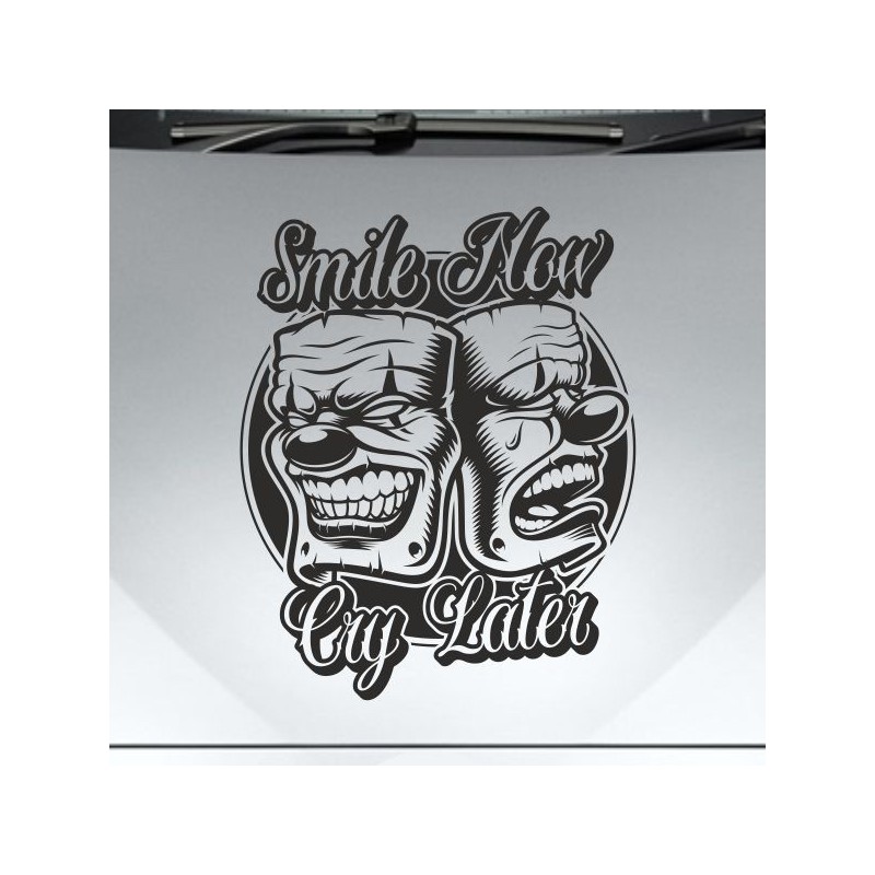 Aufkleber Auto Motorhaube Car Style Tuning Drache Tribal Dekor Rosen Blumen Schmetteringe Tattoo´s Fun Comic Flower Tiere