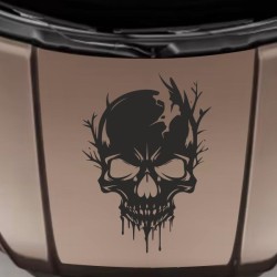 Aufkleber Auto Totenkopf Schädel Skull Bones Böse Cappy Gangster Zylinder Rosen Blumen Blüten Gentleman DJ Rock Punisher