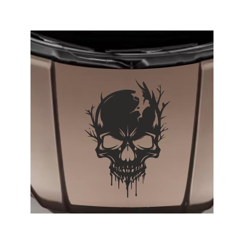 Aufkleber Auto Totenkopf Schädel Skull Bones Böse Cappy Gangster Zylinder Rosen Blumen Blüten Gentleman DJ Rock Punisher