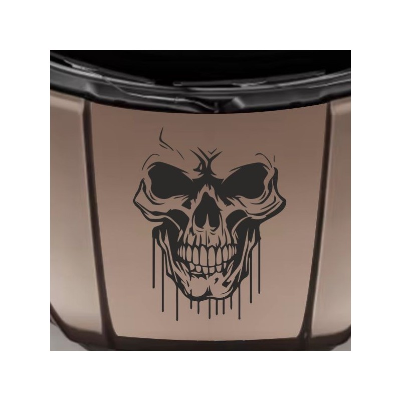 Aufkleber Auto Totenkopf Schädel Skull Bones Böse Cappy Gangster Zylinder Rosen Blumen Blüten Gentleman DJ Rock Punisher