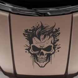 Aufkleber Auto Totenkopf Schädel Skull Bones Böse Cappy Gangster Zylinder Rosen Blumen Blüten Gentleman DJ Rock Punisher