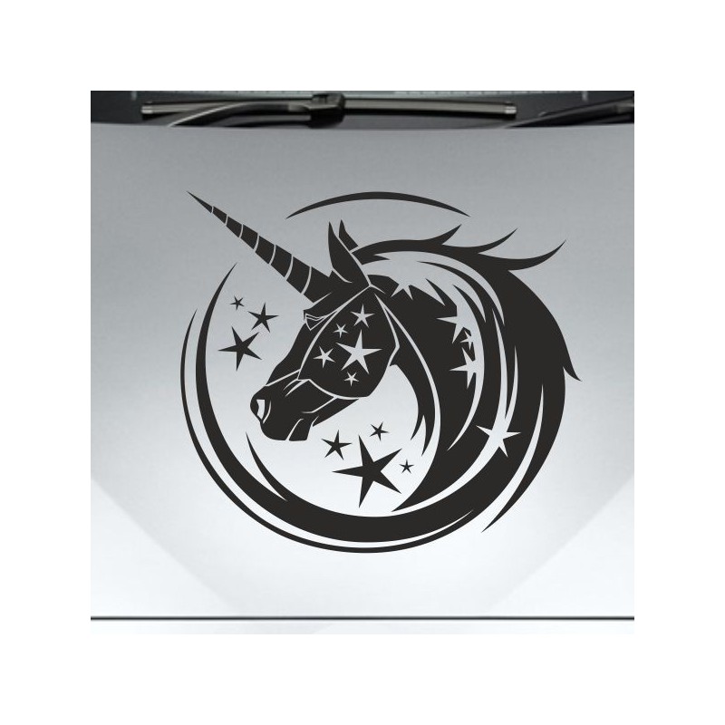 Aufkleber Auto Pferd Fohlen Stute Hengst Hufeisen Glück Spruch Dekor Stall Pferdehof Reiten Sport Familie Ponny Kinder Sticker