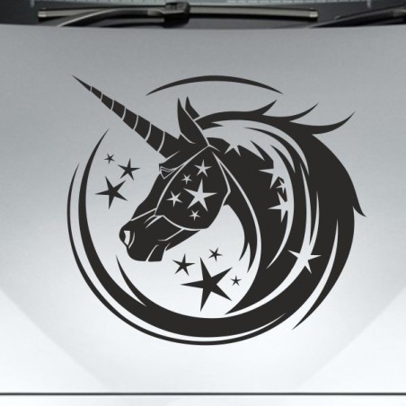 Aufkleber Auto Pferd Fohlen Stute Hengst Hufeisen Glück Spruch Dekor Stall Pferdehof Reiten Sport Familie Ponny Kinder Sticker