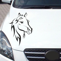 Aufkleber Auto Pferd Fohlen Stute Hengst Hufeisen Glück Spruch Dekor Stall Pferdehof Reiten Sport Familie Ponny Kinder Sticker