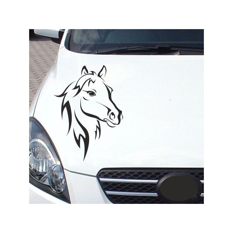 Aufkleber Auto Pferd Fohlen Stute Hengst Hufeisen Glück Spruch Dekor Stall Pferdehof Reiten Sport Familie Ponny Kinder Sticker