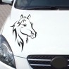 Aufkleber Auto Pferd Fohlen Stute Hengst Hufeisen Glück Spruch Dekor Stall Pferdehof Reiten Sport Familie Ponny Kinder Sticker