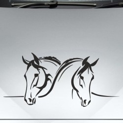 Aufkleber Auto Pferd Fohlen Stute Hengst Hufeisen Glück Spruch Dekor Stall Pferdehof Reiten Sport Familie Ponny Kinder Sticker