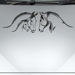 Aufkleber Auto Pferd Fohlen Stute Hengst Hufeisen Glück Spruch Dekor Stall Pferdehof Reiten Sport Familie Ponny Kinder Sticker