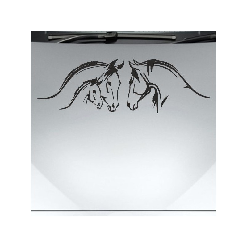 Aufkleber Auto Pferd Fohlen Stute Hengst Hufeisen Glück Spruch Dekor Stall Pferdehof Reiten Sport Familie Ponny Kinder Sticker