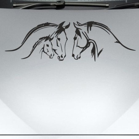 Aufkleber Auto Pferd Fohlen Stute Hengst Hufeisen Glück Spruch Dekor Stall Pferdehof Reiten Sport Familie Ponny Kinder Sticker