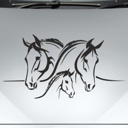 Aufkleber Auto Pferd Fohlen Stute Hengst Hufeisen Glück Spruch Dekor Stall Pferdehof Reiten Sport Familie Ponny Kinder Sticker