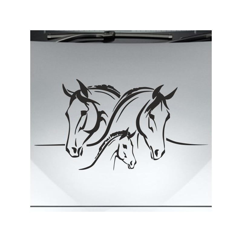 Aufkleber Auto Pferd Fohlen Stute Hengst Hufeisen Glück Spruch Dekor Stall Pferdehof Reiten Sport Familie Ponny Kinder Sticker