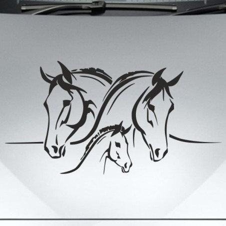 Aufkleber Auto Pferd Fohlen Stute Hengst Hufeisen Glück Spruch Dekor Stall Pferdehof Reiten Sport Familie Ponny Kinder Sticker