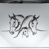 Aufkleber Auto Pferd Fohlen Stute Hengst Hufeisen Glück Spruch Dekor Stall Pferdehof Reiten Sport Familie Ponny Kinder Sticker
